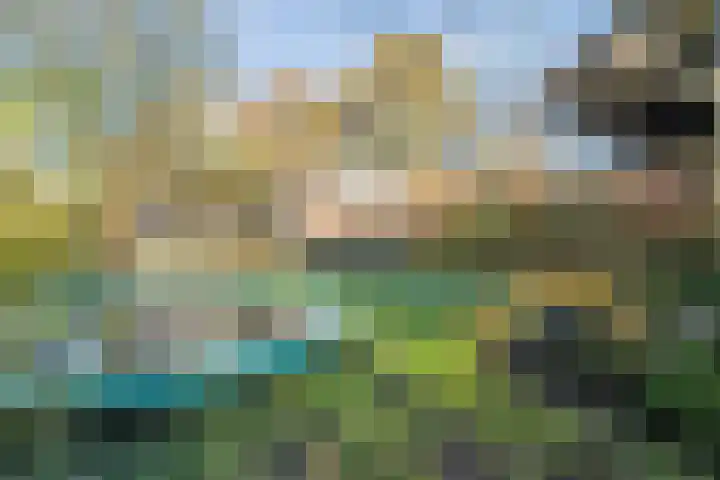 De Berken 1 Koekange thumbnail 38