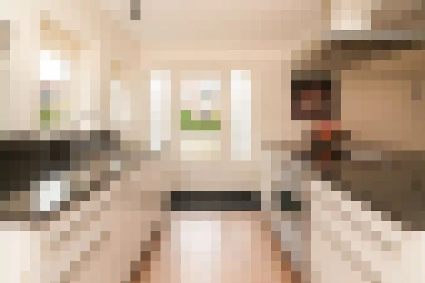 De Berken 1 Koekange thumbnail 42