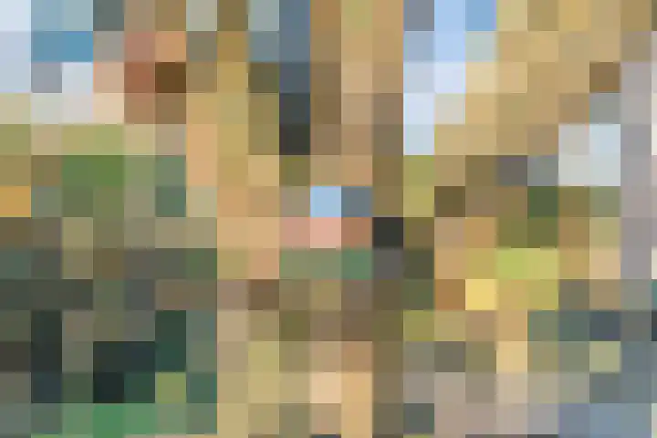 De Berken 1 Koekange thumbnail 44