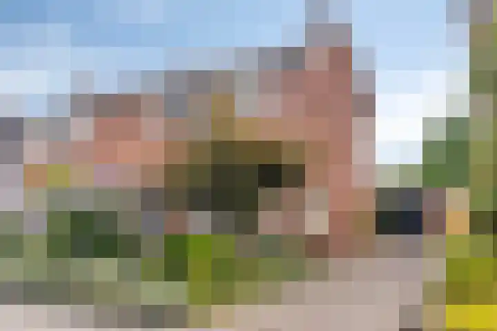 De Berken 1 Koekange thumbnail 51