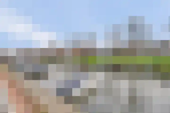 De Berken 1 Koekange thumbnail 54