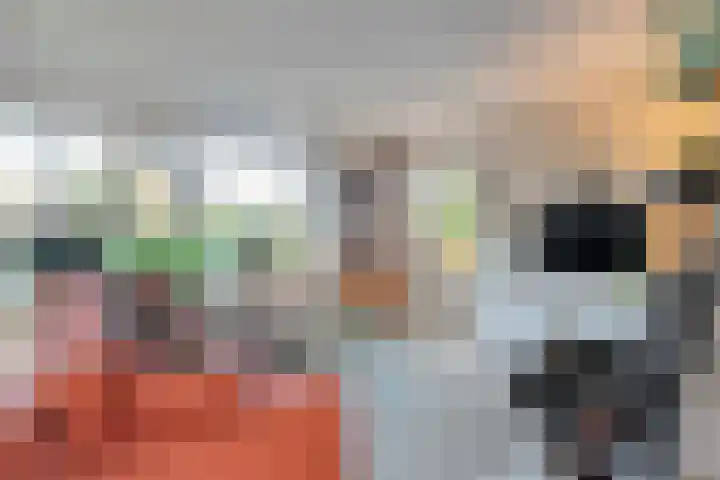 De Berken 1 Koekange thumbnail 6