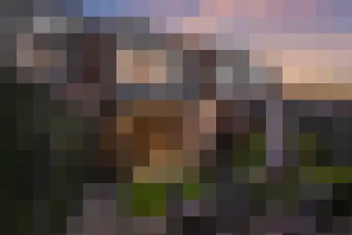 De Berken 1 Koekange thumbnail 61