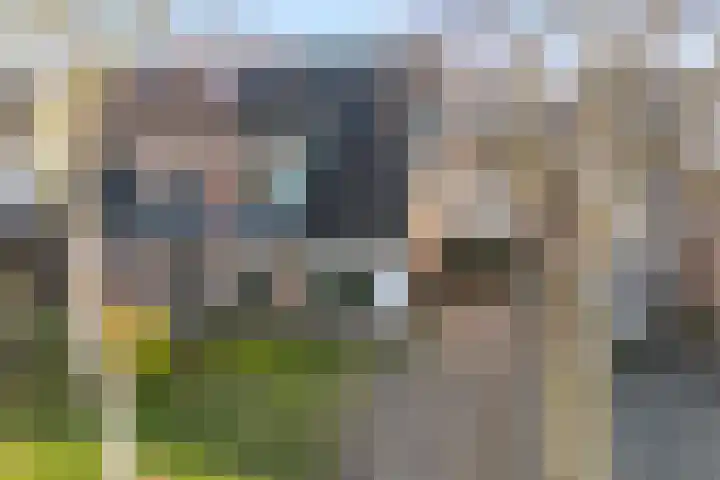 De Berken 13 Koekange