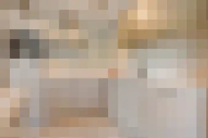 De Berken 13 Koekange thumbnail 14
