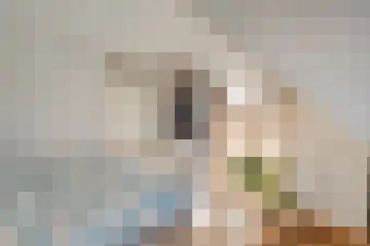De Berken 13 Koekange thumbnail 22