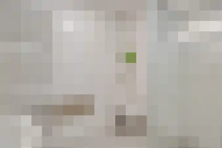 De Berken 13 Koekange thumbnail 27