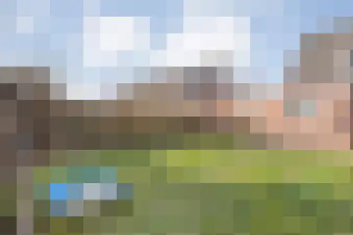 De Berken 13 Koekange thumbnail 32