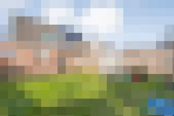 De Berken 13 Koekange thumbnail 34