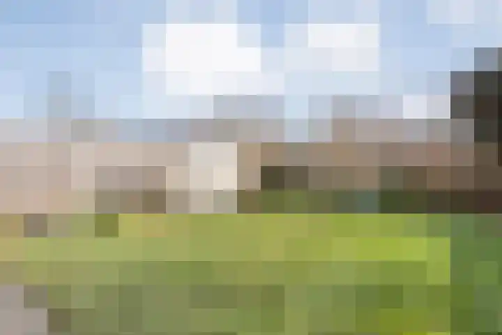 De Berken 13 Koekange thumbnail 36
