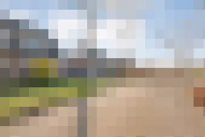 De Berken 13 Koekange thumbnail 38