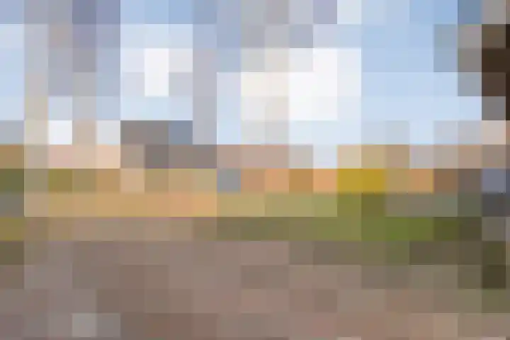 De Berken 13 Koekange thumbnail 40