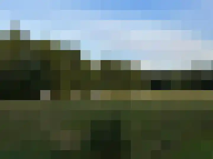 De Berken 13 Koekange thumbnail 44