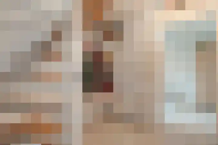 De Berken 13 Koekange thumbnail 7