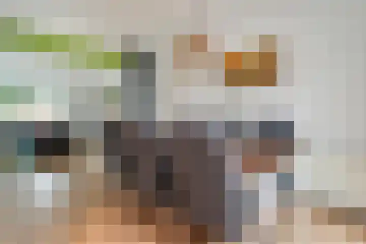 De beugel 8 Steenwijk thumbnail 11