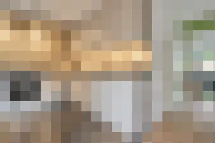De beugel 8 Steenwijk thumbnail 13