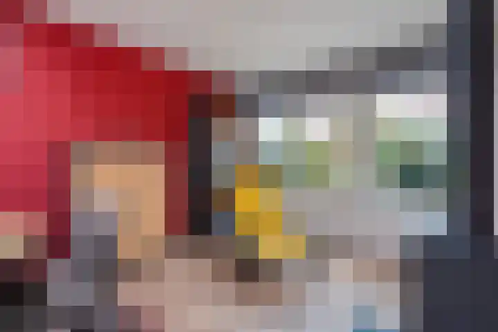 De beugel 8 Steenwijk thumbnail 17