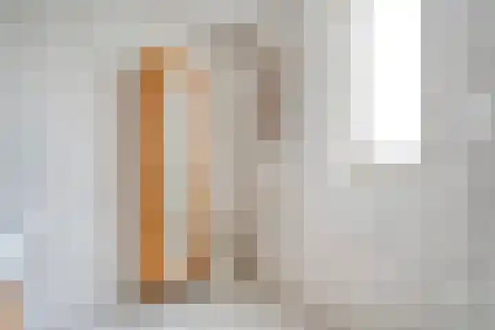 De beugel 8 Steenwijk thumbnail 33