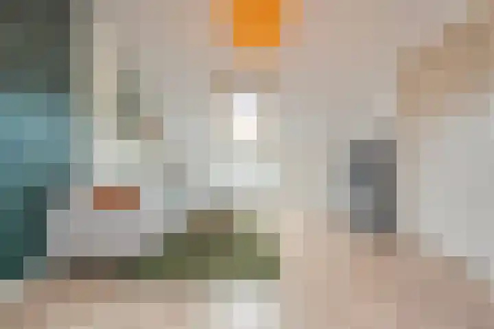 De beugel 8 Steenwijk thumbnail 36