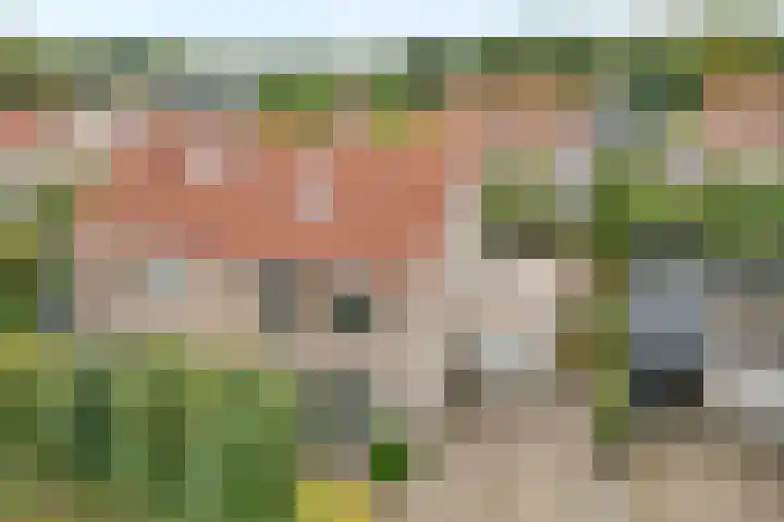 De beugel 8 Steenwijk thumbnail 4