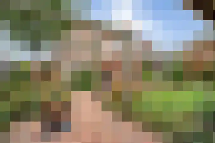 De beugel 8 Steenwijk thumbnail 40