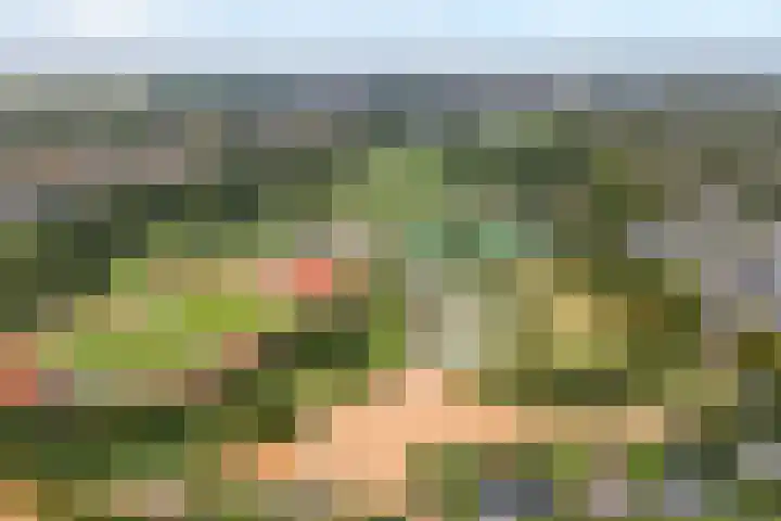 De beugel 8 Steenwijk thumbnail 46