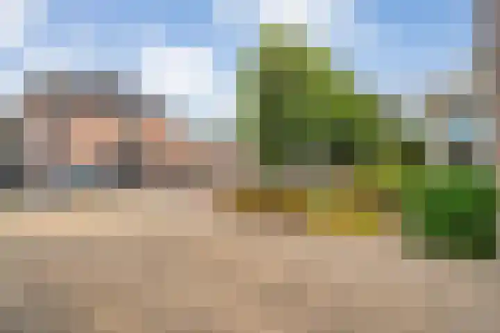 De beugel 8 Steenwijk thumbnail 6