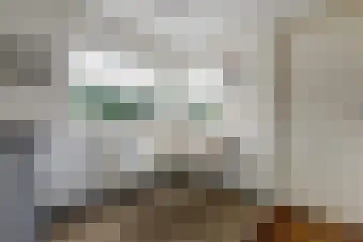 de Beuk 13 Didam thumbnail 17