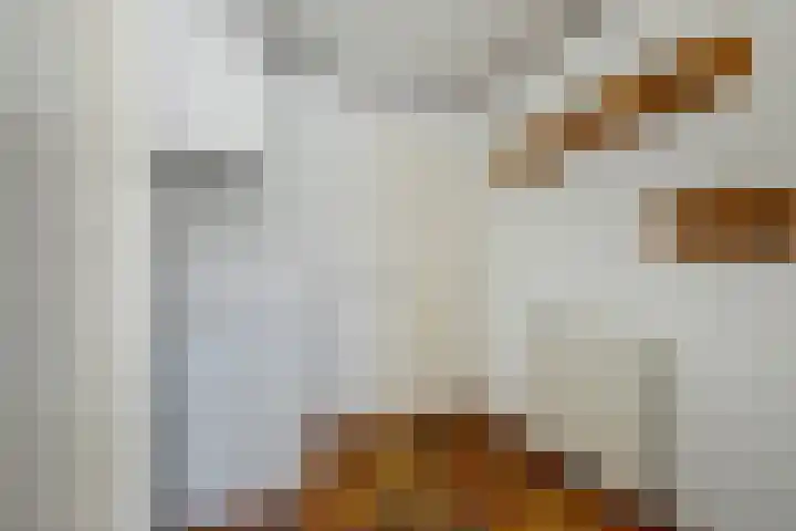 de Beuk 13 Didam thumbnail 19