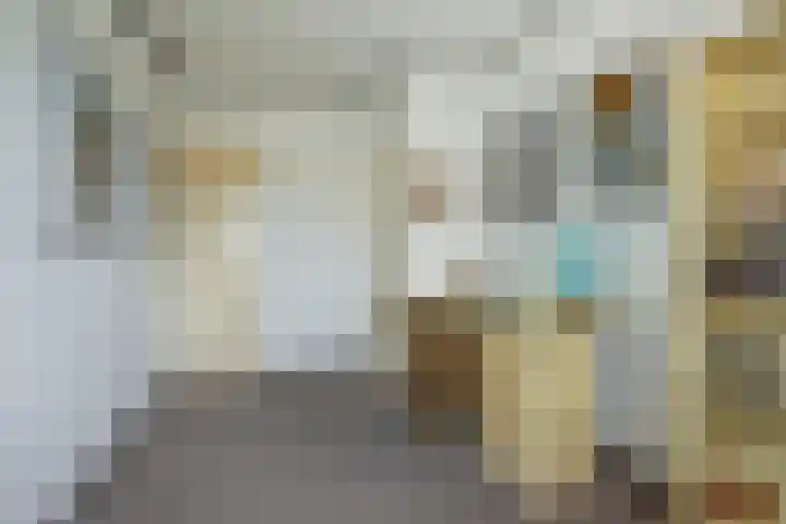 de Beuk 13 Didam thumbnail 24