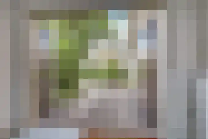 de Beuk 13 Didam thumbnail 39
