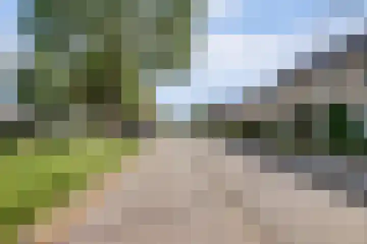 de Beuk 13 Didam thumbnail 41