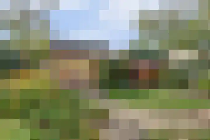 de Beuk 13 Didam thumbnail 49
