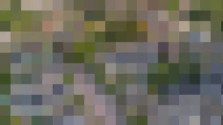 de Beuk 13 Didam thumbnail 54