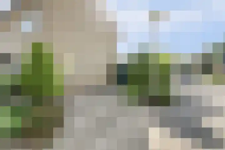 de Beuk 13 Didam thumbnail 59