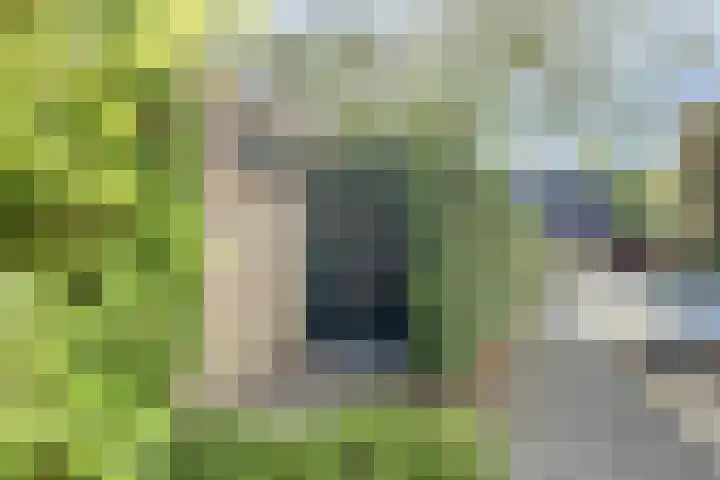 de Beuk 13 Didam thumbnail 60