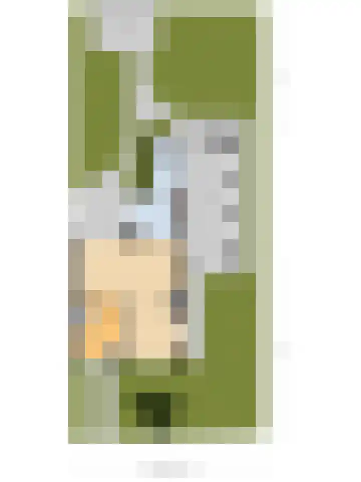 de Beuk 13 Didam thumbnail 68