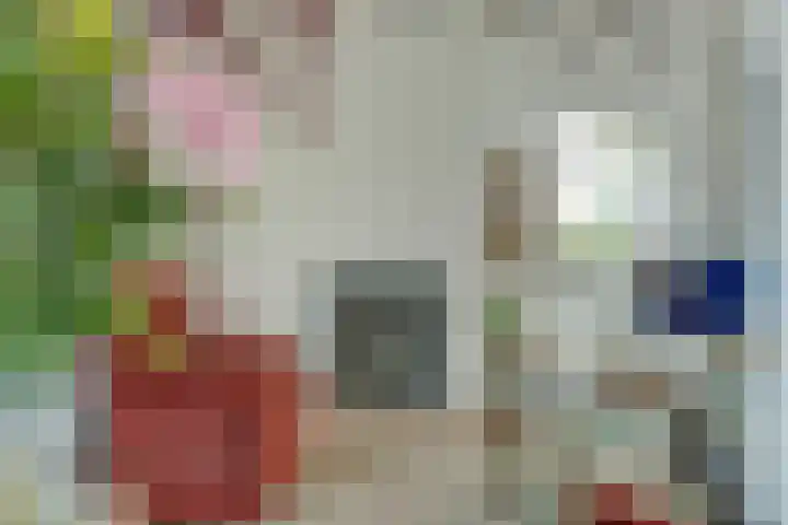 de Beuk 13 Didam thumbnail 8
