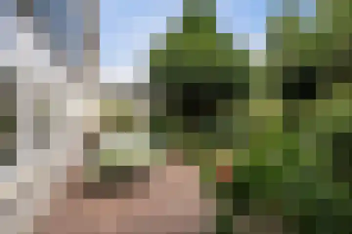 de Beuk 26 Didam thumbnail 10