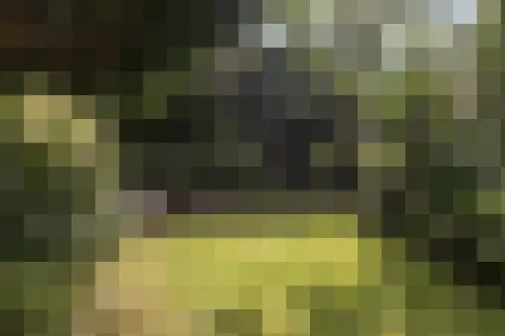 de Beuk 26 Didam thumbnail 12