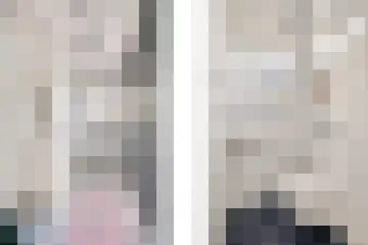 de Beuk 26 Didam thumbnail 16