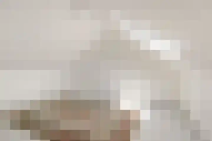 de Beuk 26 Didam thumbnail 23