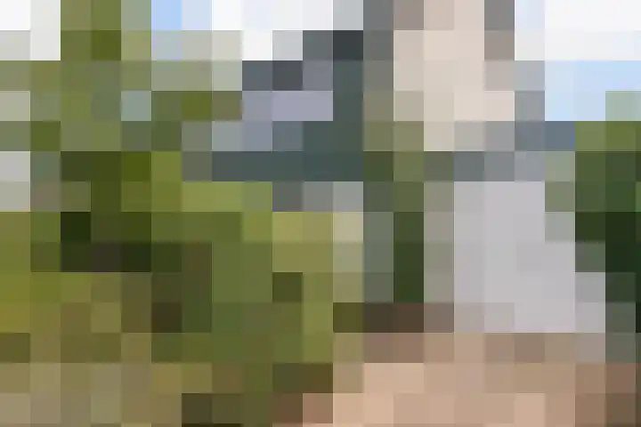 de Beuk 26 Didam thumbnail 26