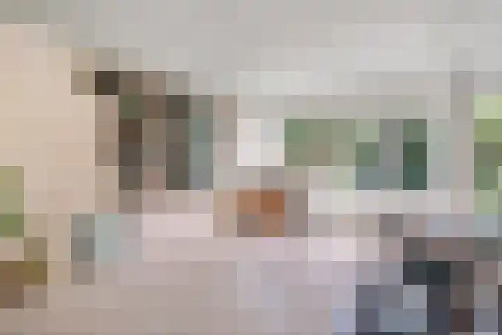 de Beuk 26 Didam thumbnail 4