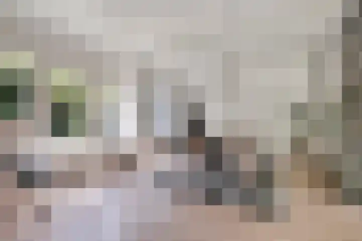 de Beuk 26 Didam thumbnail 5