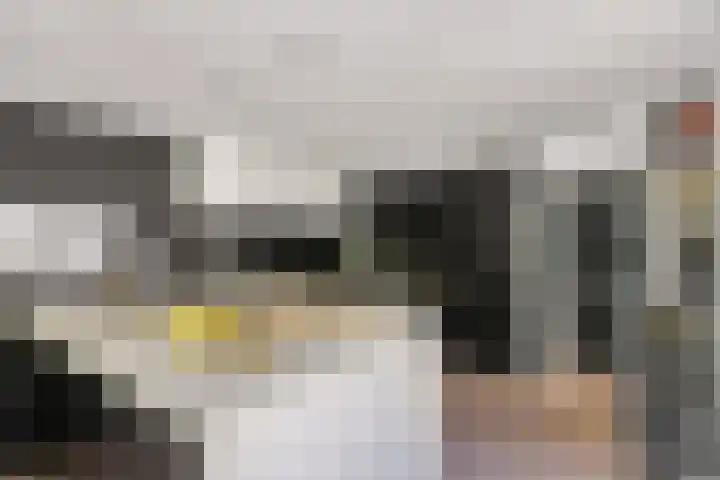 de Beuk 26 Didam thumbnail 8