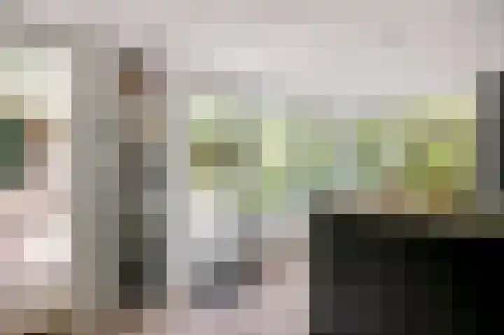 de Beuk 26 Didam thumbnail 9