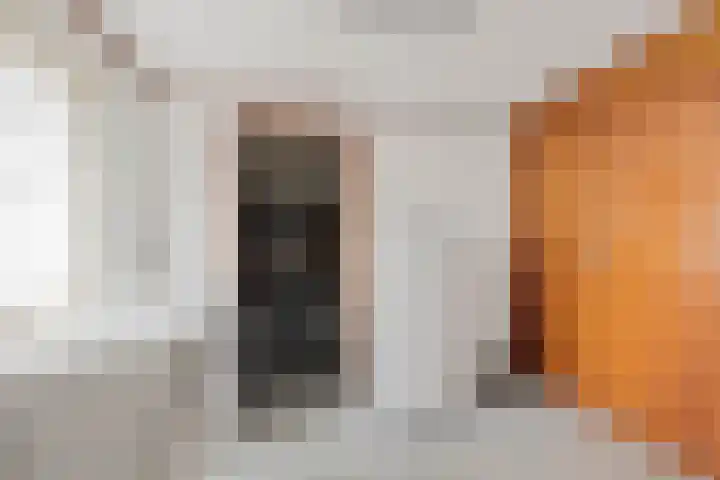 de Beuk 95 Didam thumbnail 12