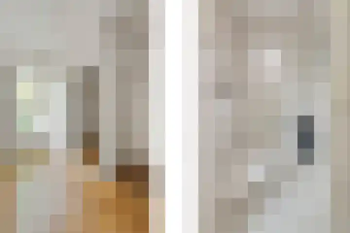 de Beuk 95 Didam thumbnail 14