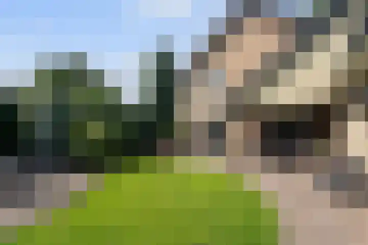 de Beuk 95 Didam thumbnail 27